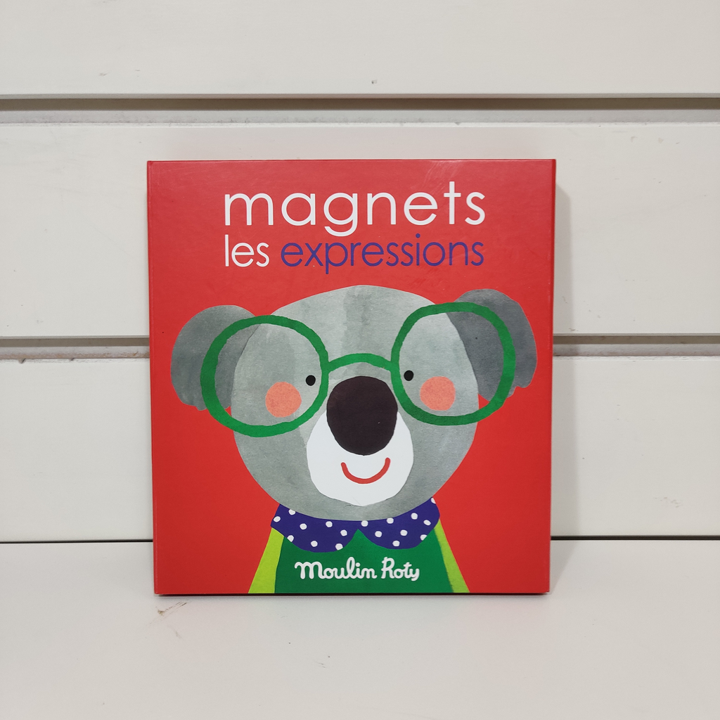 jeu Magnetique - Moulin Roty - Les Expressions
