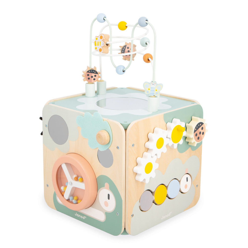 Maxi cube multi activités