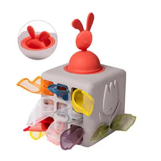 Pop up Tissue Box
