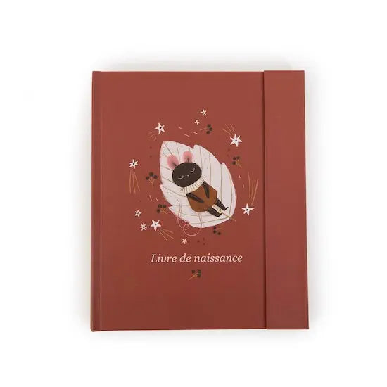 Livre de naissance Après la pluie