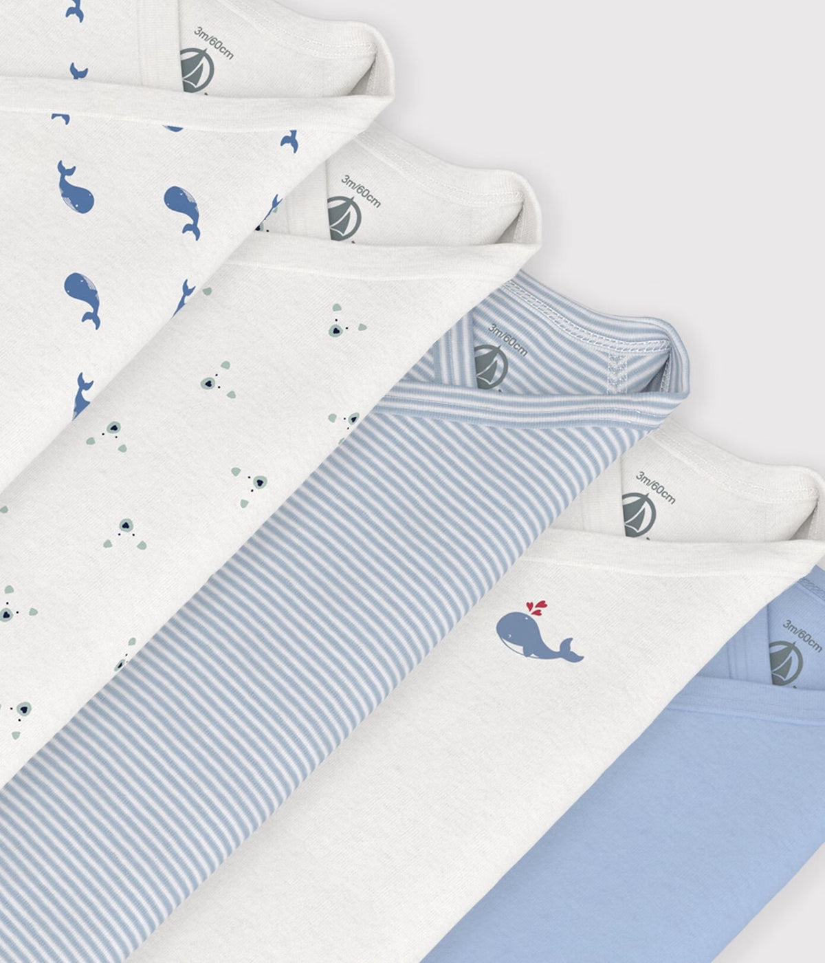 Lot de 5 bodies croises manches longues  Baleine