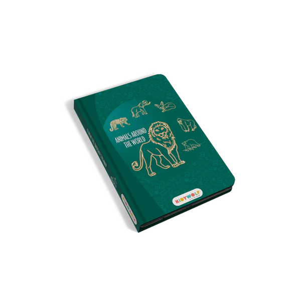 Tablette à dessins Kidydraw mini