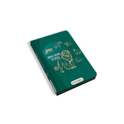 Tablette à dessins Kidydraw mini