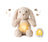 Lapin