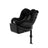 Moon black Plus
