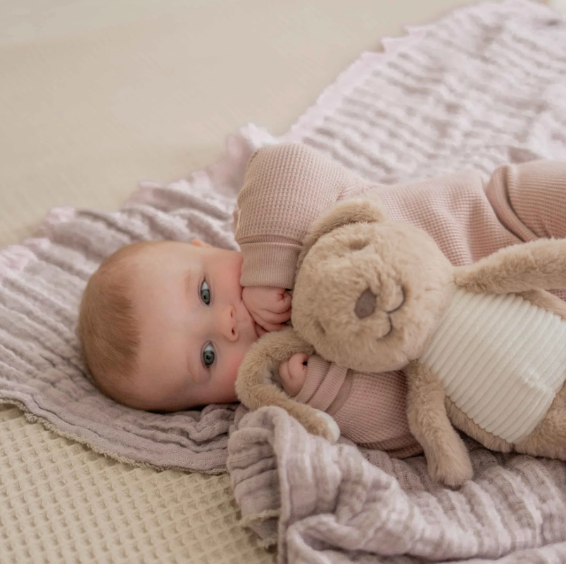 Peluche bruits blancs
