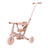 Rose fleuri