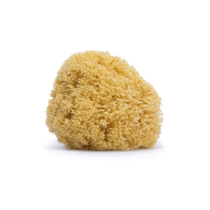 Éponge en fibre naturelle