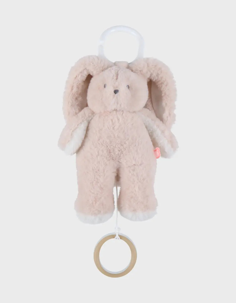 Peluche mini musicale rosie