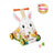 Lapin