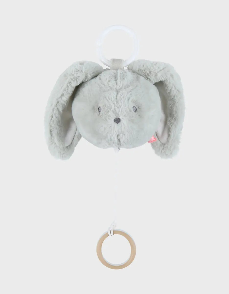 Peluche mini musicale verdi