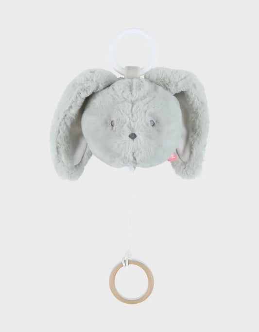 Peluche mini musicale verdi