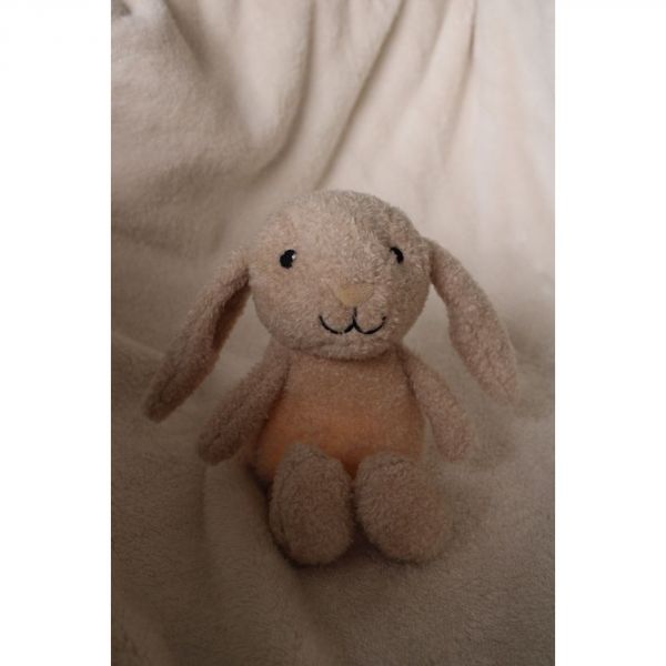 Peluche lumineuse