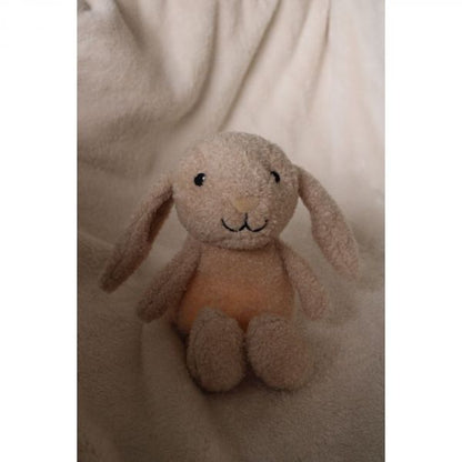 Peluche lumineuse