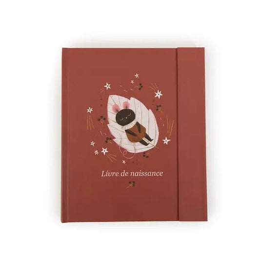 Livre de naissance Après la pluie