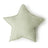 Bigstar sage powder