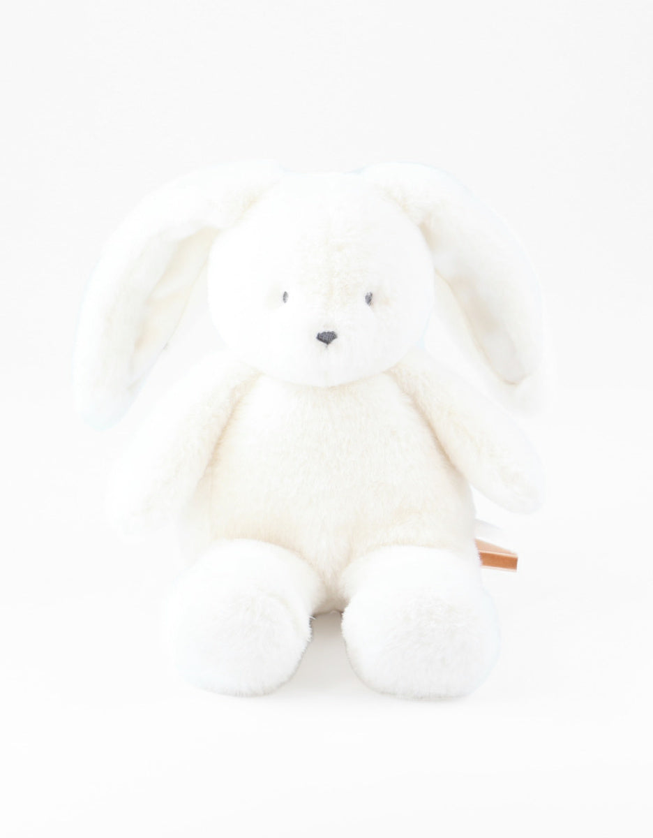 Peluche