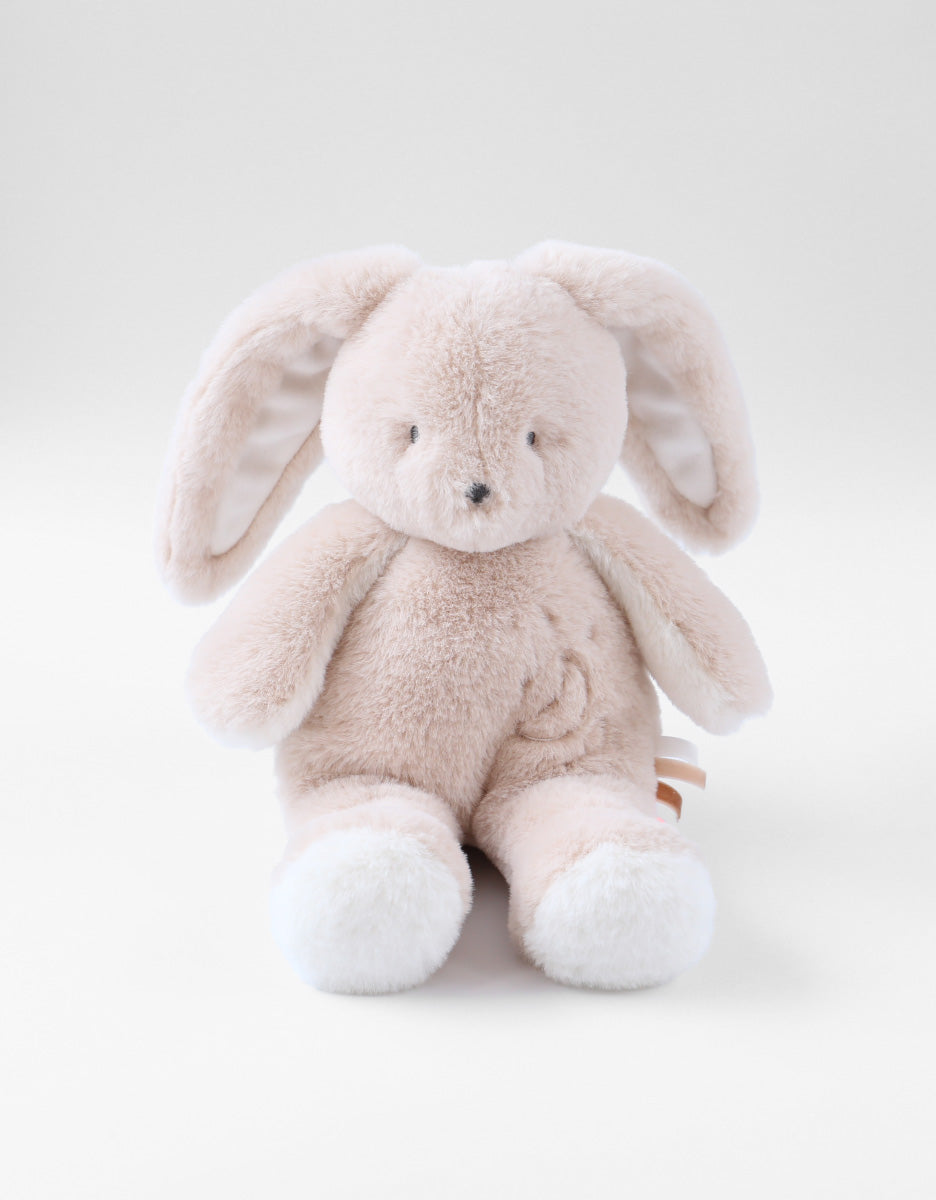 Peluche