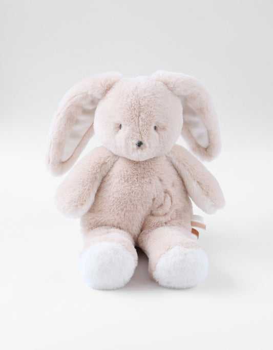 Peluche